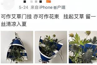 维蒂尼亚：乌加特发挥决定性作用，而在进攻端我们有很棒的球员